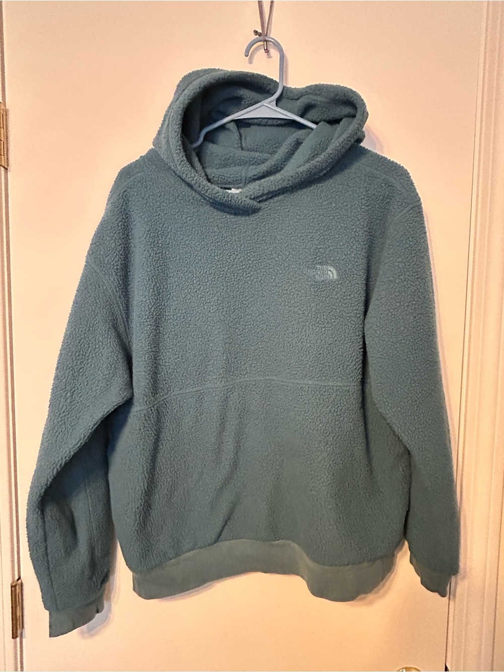 The North Face Teal Sherpa Hoodie
